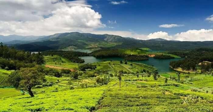 Hotel Pratham International Ooty Dış mekan fotoğraf
